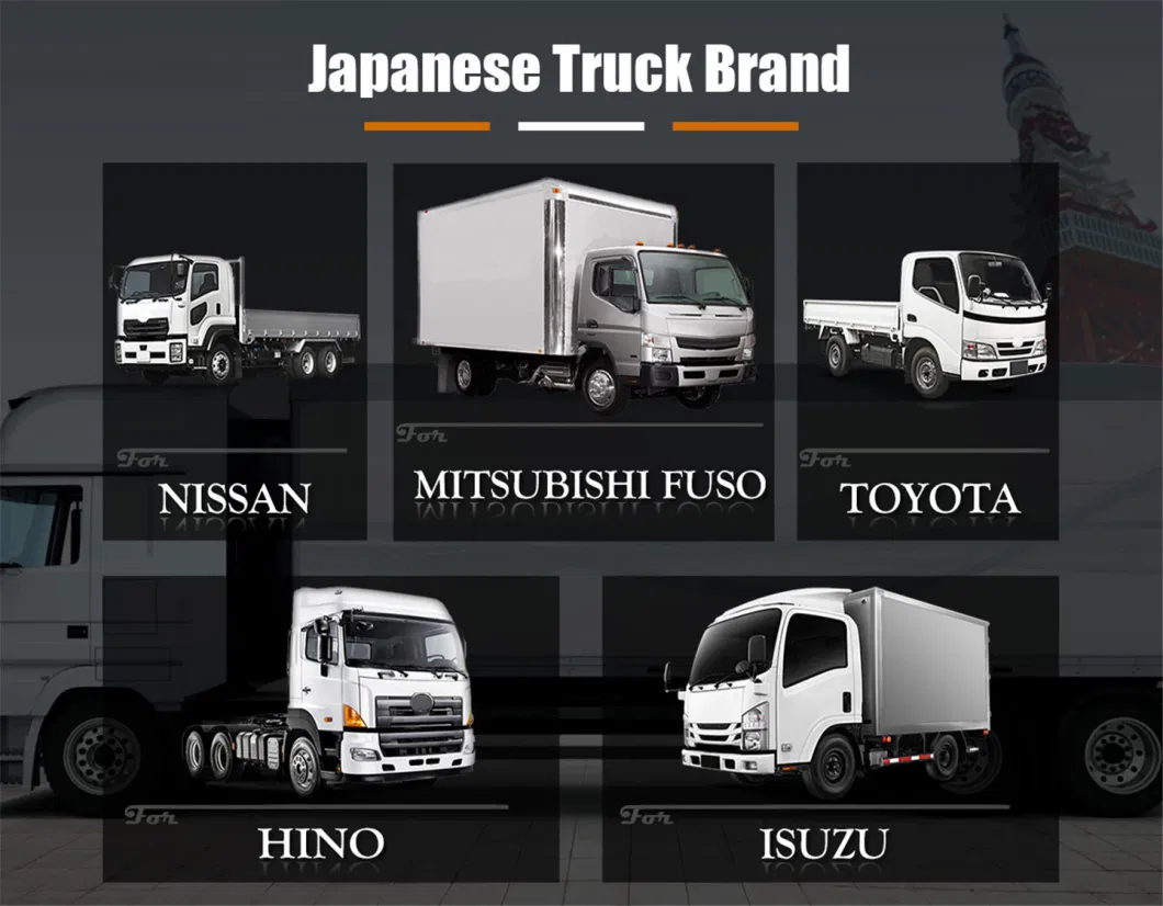 Truck Spare Parts for Mitsubishi Fuso, Canter